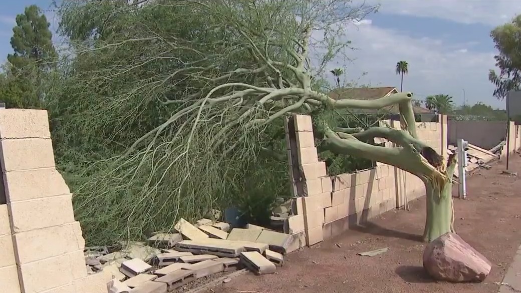 Monsoon: Storm caused damages in Mesa